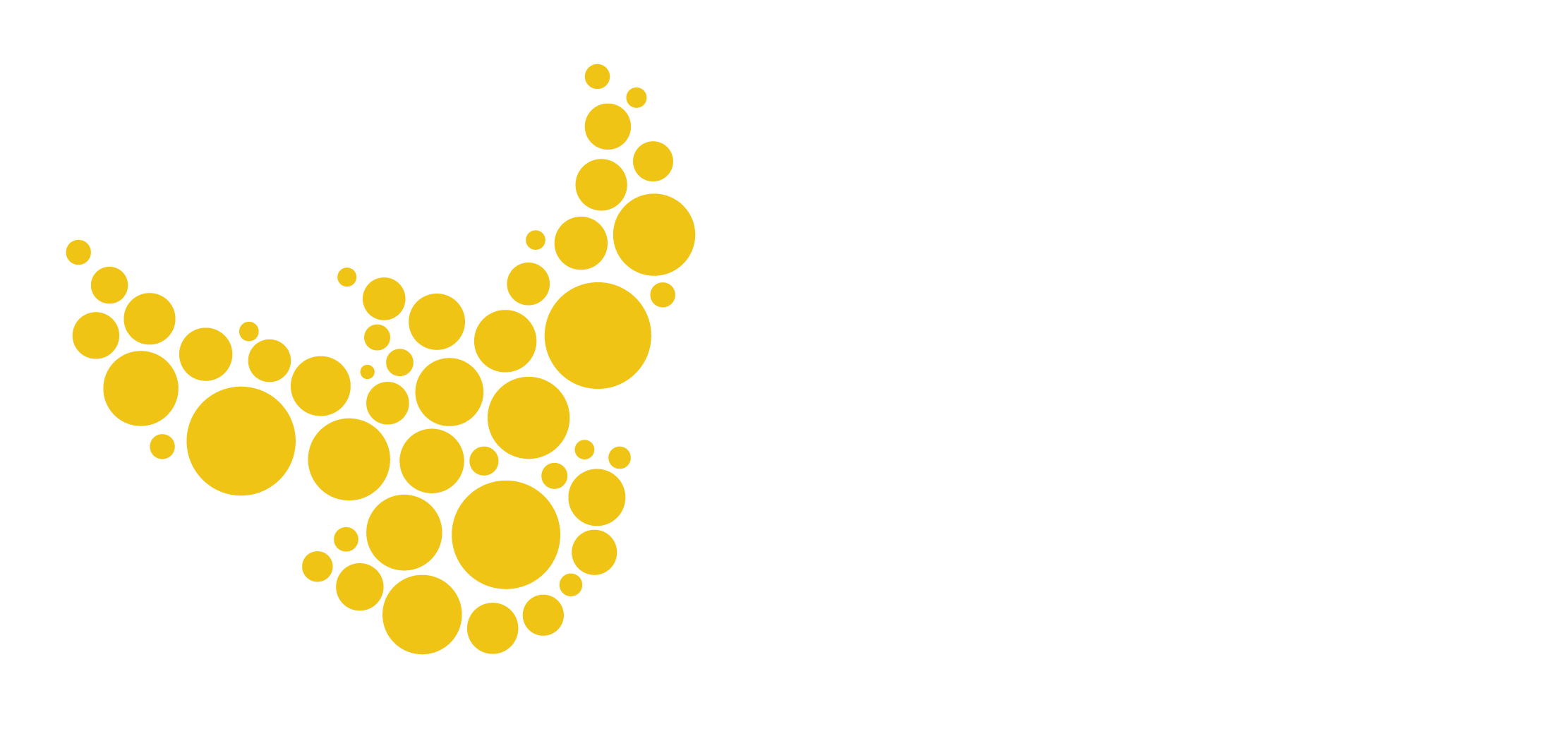 The Mustard Seed footer logo
