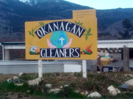 Okanagan Gleaners headshot